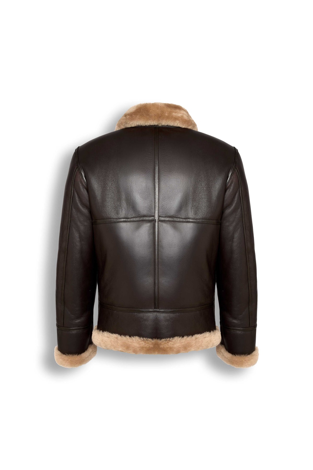 Heritage B3 dark brown shearling leather jacket with camel collar and heavy-duty zipper